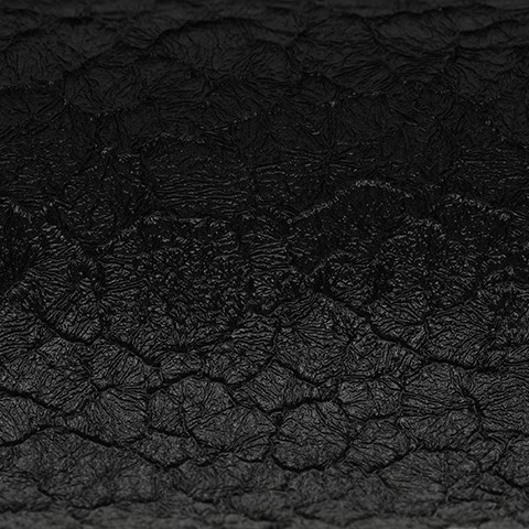 Black Crockodile New