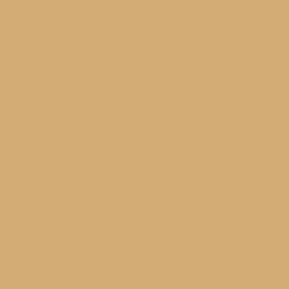 Ral 1001 Gloss